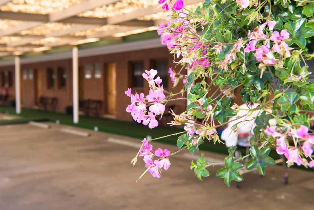Elm Court Motel Олбери Экстерьер фото
